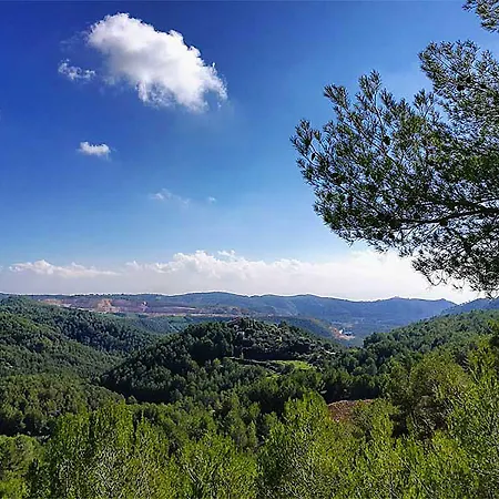 Verde Sitges Sant Pere De Ribes